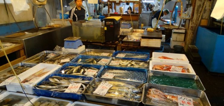 Targ Rybny Tsukiji Morze Na Straganie Bemvoyage